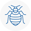 Bed Bug Extermination In Ickenham