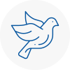 Bird Prevention Ickenham