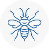 Ickenham Hornet Nest Removals