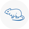 Rat Control Ickenham