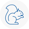Ickenham Rodent Removals